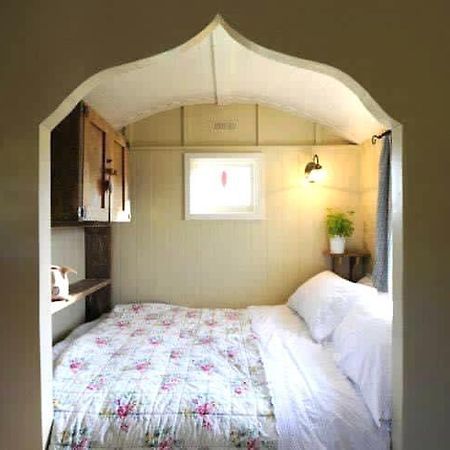 Beech Shepherds Hut York Luaran gambar